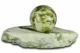 Polished Noble Serpentine Sphere with Base - Washington #341589-1